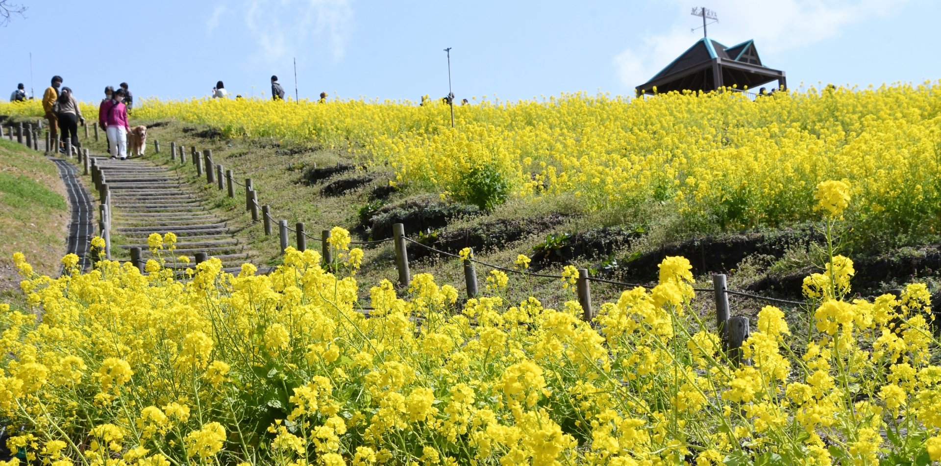 🏞️ 고베 종합운동공원 이미지 6